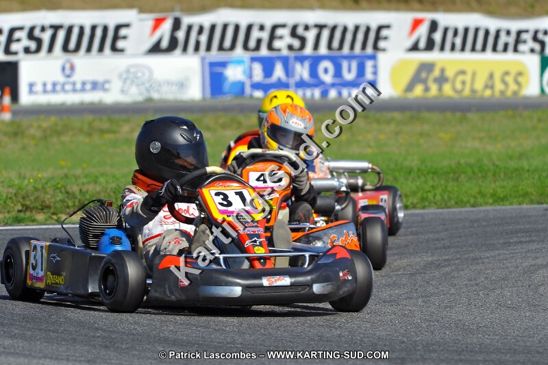 DSC_ (1139).jpg